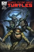 TEENAGE MUTANT NINJA TURTLES #10-RI 