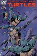 TEENAGE MUTANT NINJA TURTLES #11 