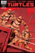TEENAGE MUTANT NINJA TURTLES #12 