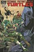 TEENAGE MUTANT NINJA TURTLES #12-RI 