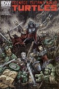 TEENAGE MUTANT NINJA TURTLES #12B 