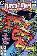 FURY OF FIRESTORM #11 