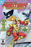 FURY OF FIRESTORM #29 