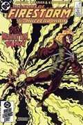 FURY OF FIRESTORM #33 