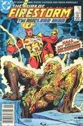 FURY OF FIRESTORM #19C 