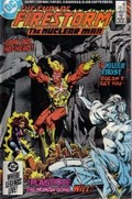 FURY OF FIRESTORM #35 