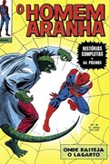 O HOMEM-ARANHA #28 