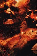 CLIVE BARKER'S HELLRAISER #17-RI 
