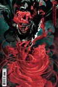 DETECTIVE COMICS #1069B 
