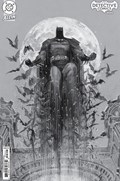 DETECTIVE COMICS #1093-RI 