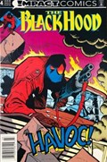 BLACK HOOD #4B 