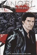 ANGEL: AFTER THE FALL #1-GCC 