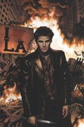 ANGEL: AFTER THE FALL #9-RI 