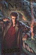 ANGEL: AFTER THE FALL #1B 