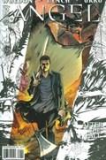 ANGEL: AFTER THE FALL #1-3rd 