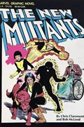 MARVEL GRAPHIC NOVEL #4-4th Soft Cover