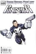 DARK REIGN: THE LIST - PUNISHER #1-RI 
