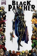 BLACK PANTHER #7B 