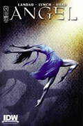 ANGEL #24-IDWC 