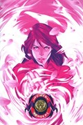 MIGHTY MORPHIN POWER RANGERS #13-RI 