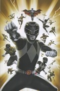 MIGHTY MORPHIN POWER RANGERS #30-RI 