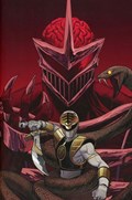 MIGHTY MORPHIN POWER RANGERS #24-RI-B 