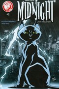 HERO CATS: MIDNIGHT OVER STELLAR CITY #1B 
