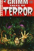 GRIMM TALES OF TERROR #11C 