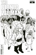 THE BIONIC WOMAN: SEASON FOUR #3-RI 