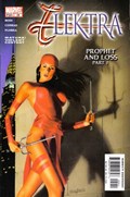 ELEKTRA #29 
