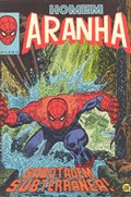 HOMEM-ARANHA #33 