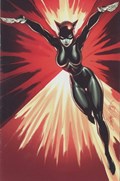 MISS FURY #1C 