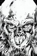 PLANET OF THE APES: CATACLYSM #4-RI-B 
