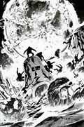 PLANET OF THE APES: CATACLYSM #2-RI-B 