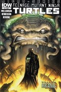 TEENAGE MUTANT NINJA TURTLES VILLAIN MICRO-SERIES #1 