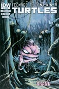 TEENAGE MUTANT NINJA TURTLES VILLAIN MICRO-SERIES #1-RI 