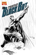 BLACK BAT #2D 