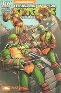 TEENAGE MUTANT NINJA TURTLES NEW ANIMATED ADVENTURES #20-AMCC 