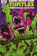 TEENAGE MUTANT NINJA TURTLES NEW ANIMATED ADVENTURES #5-RI 