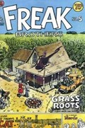 THE FABULOUS FURRY FREAK BROTHERS #5 