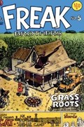 THE FABULOUS FURRY FREAK BROTHERS #5-3rd 