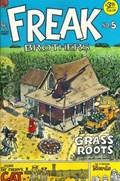 THE FABULOUS FURRY FREAK BROTHERS #5-9th 