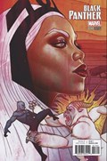 BLACK PANTHER #17B 