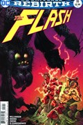 THE FLASH #19B 