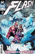 THE FLASH #85 