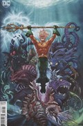 AQUAMAN #46B 