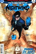 NIGHTWING #19 
