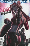 SUICIDE SQUAD #1D 