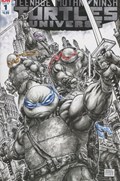 TEENAGE MUTANT NINJA TURTLES UNIVERSE #1-2nd 