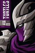 TEENAGE MUTANT NINJA TURTLES UNIVERSE #12B 